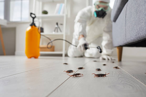 Commercial Kitchen Cockroach Control in Antlers